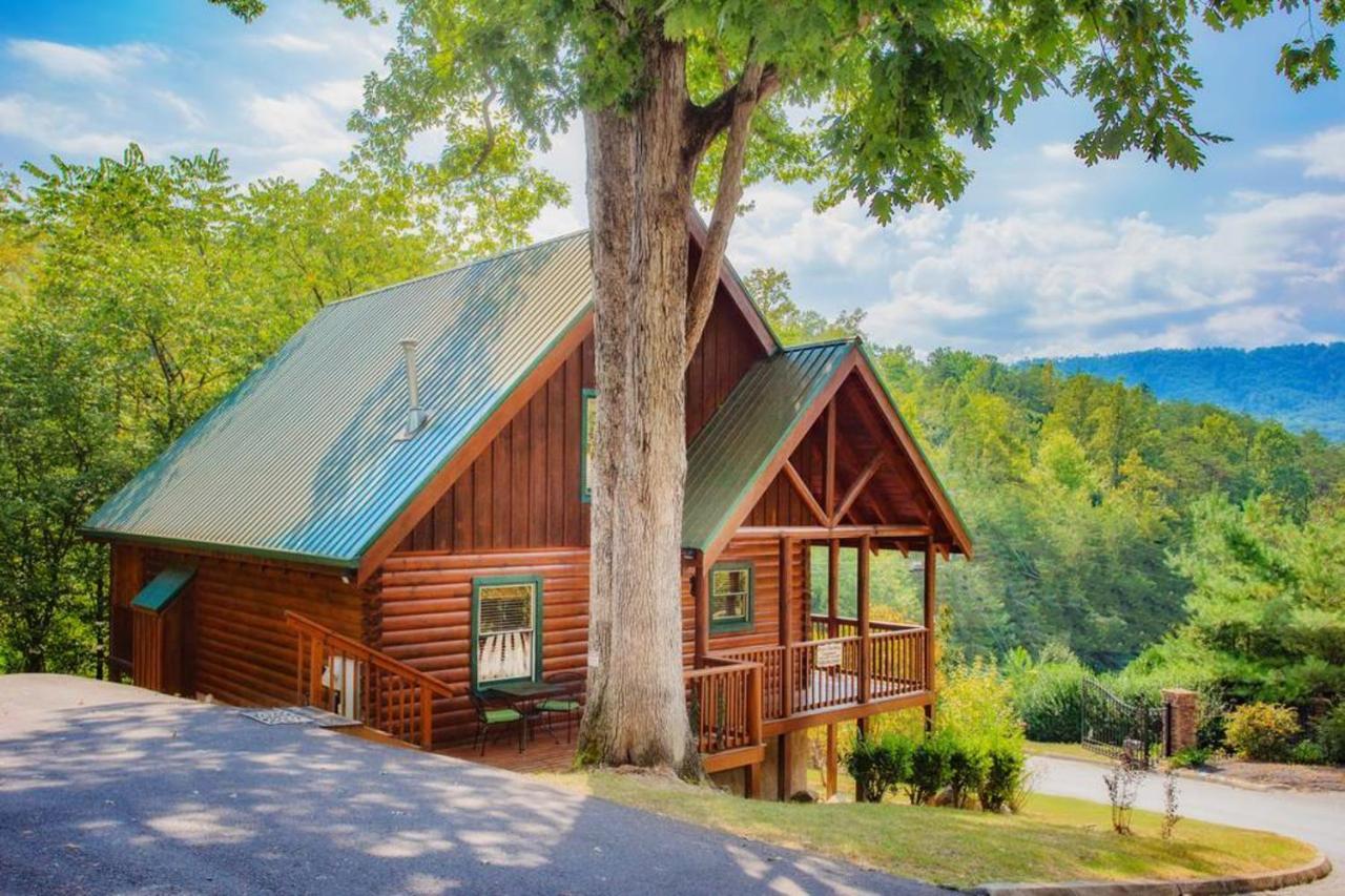 Bear Climbing Getaway Villa Pigeon Forge Exterior photo
